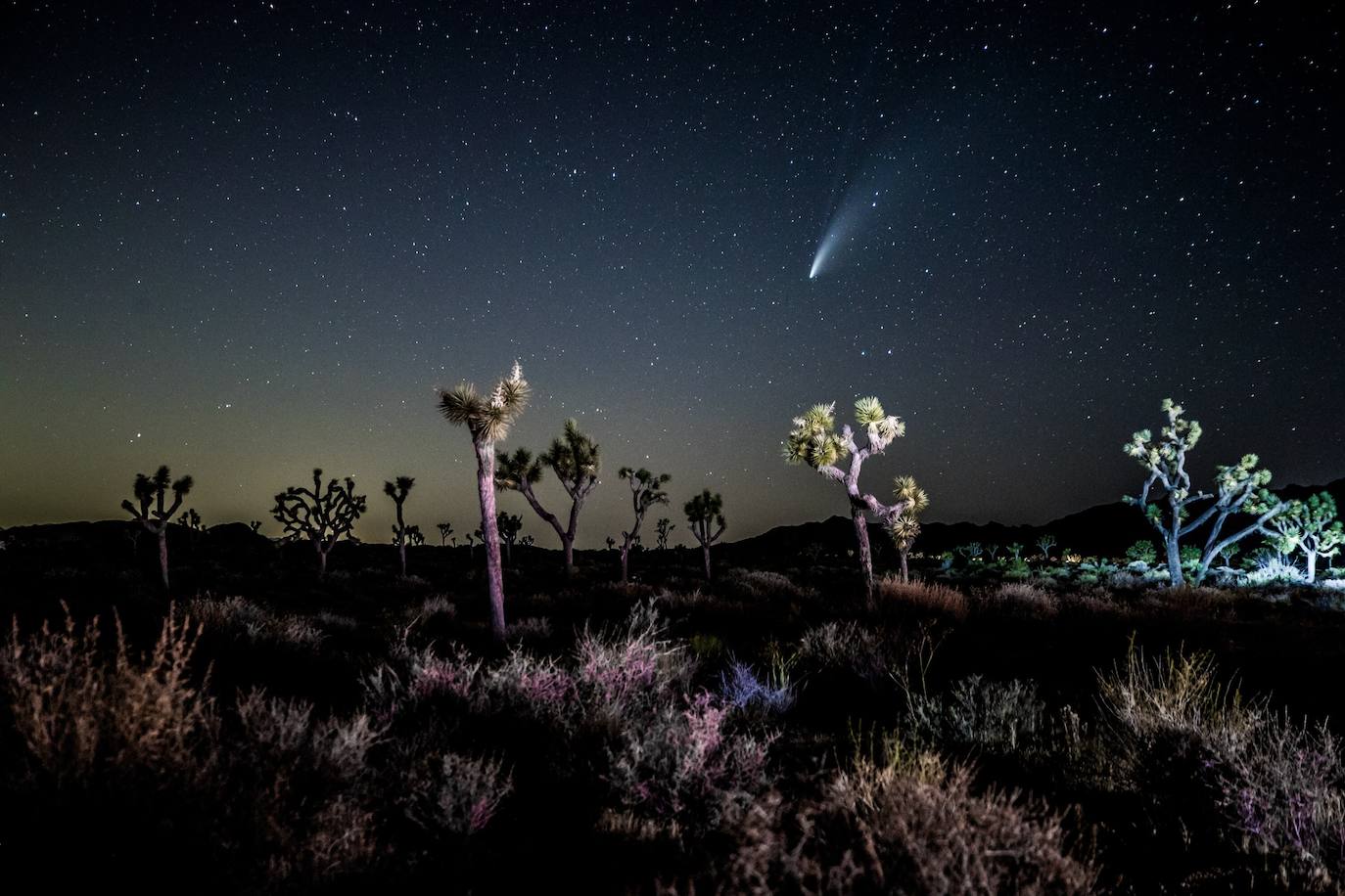 Fotos: El paso del cometa Neowise desde la Tierra, algo que no ocurría hace más de 20 años