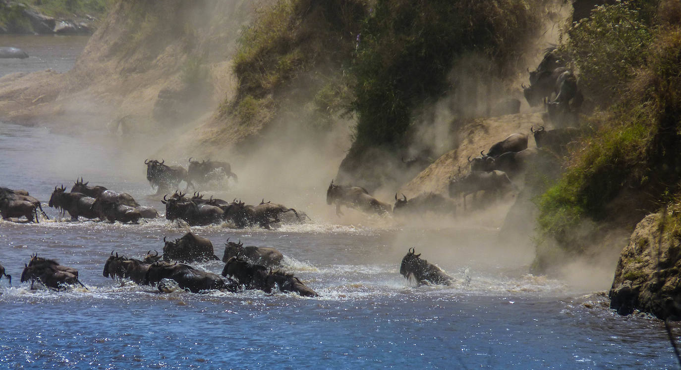 11.- Gran migración en el Serengeti (Tanzania) | Es uno de los fenómenos naturales más espectaculares del mundo: cada año, grandes manadas atraviesan la sabana del este de África. 