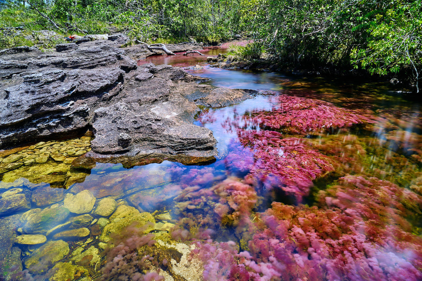 7.- Caño Cristales (Colombia) | Ubicado en la sierra de la Macarena, esta belleza de la naturaleza es conocida con muchos nombres como 'el río de los dioses', 'el río de los siete colores', 'el arco iris que se derritió' e incluso 'el río más hermoso del mundo'. En su fondo se reproducen plantas acuáticas que con la exposición al sol cambian sus colores en un proceso que va desde el verde hasta un rojo intenso. 