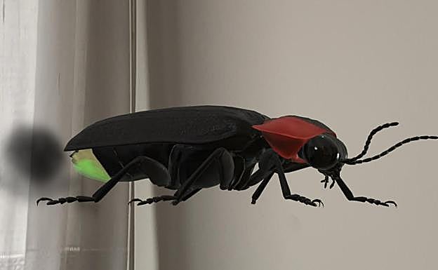 La luciérnaga no podía faltar en la fauna de insectos de Google.