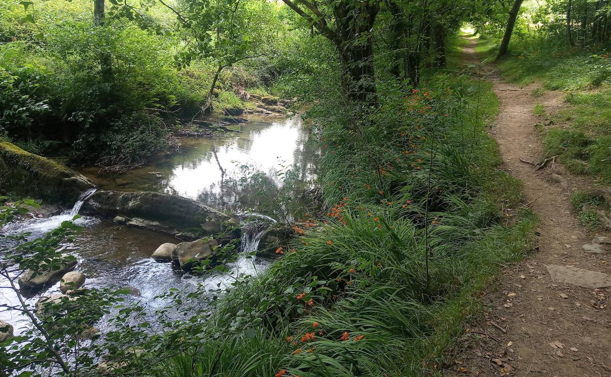 La senda a la vera del río Artibai es uno de los tramos más bellos del recorrido entre Markina y Minutibar.