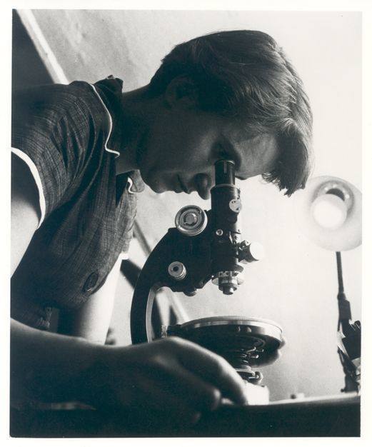 9. Rosalind Franklin fue una de las cuatro científicas que descubrió la estructura de ADN, junto con James Watson, Francis Crick y Maurice Wilkins. Estos tres últimos investigadores recibieron el Nobel de Fisiología y Medicina en 1962, cuando ella ya había fallecido, pero negaron la contribución de Franklin a su descubrimiento.