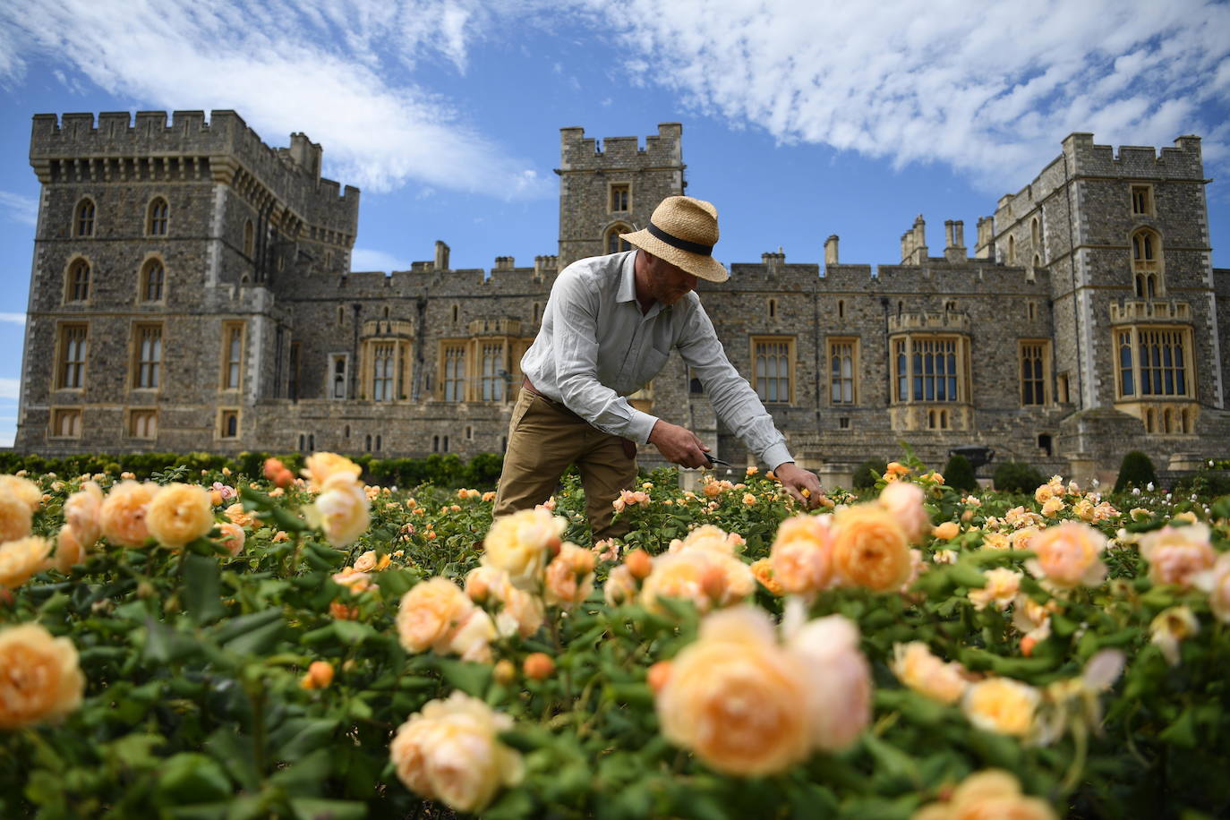 Fotos: El jardín secreto de la reina de Inglaterra