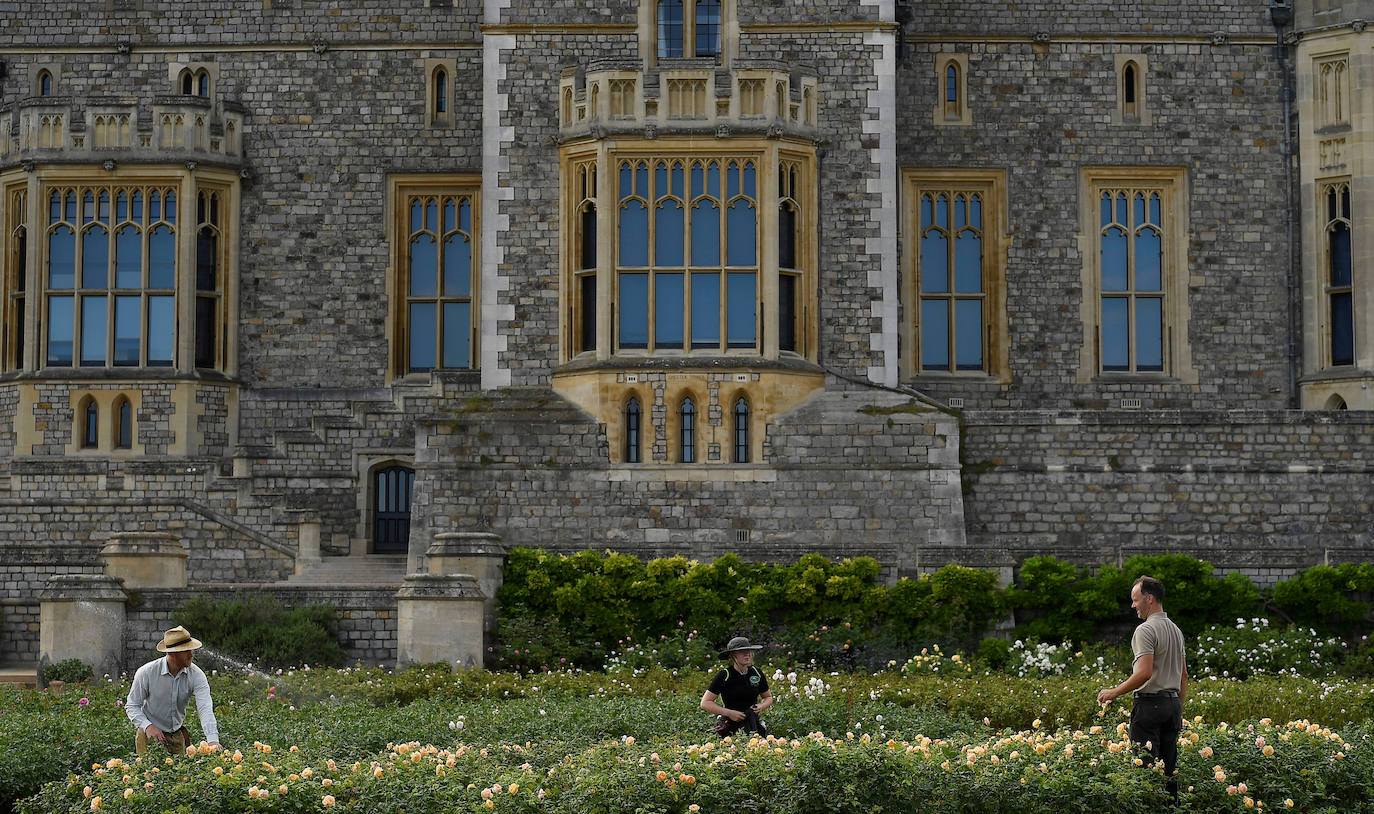 Fotos: El jardín secreto de la reina de Inglaterra