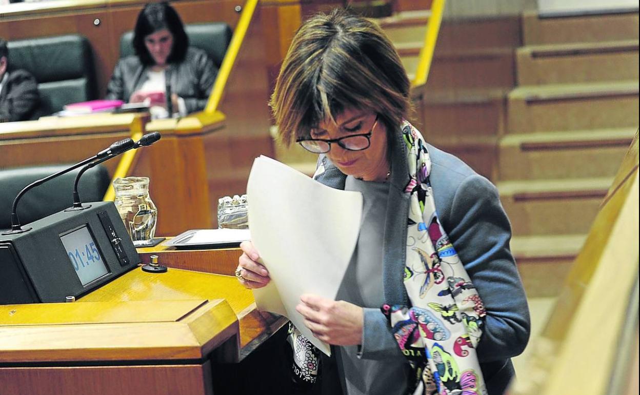 Nekane Murga comparece en el Parlamento durante la pasada legislatura. 