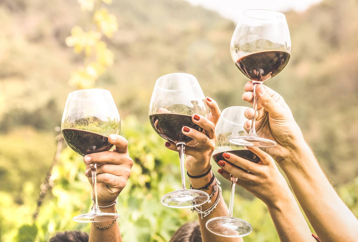 Nueve tintos que también son para el verano