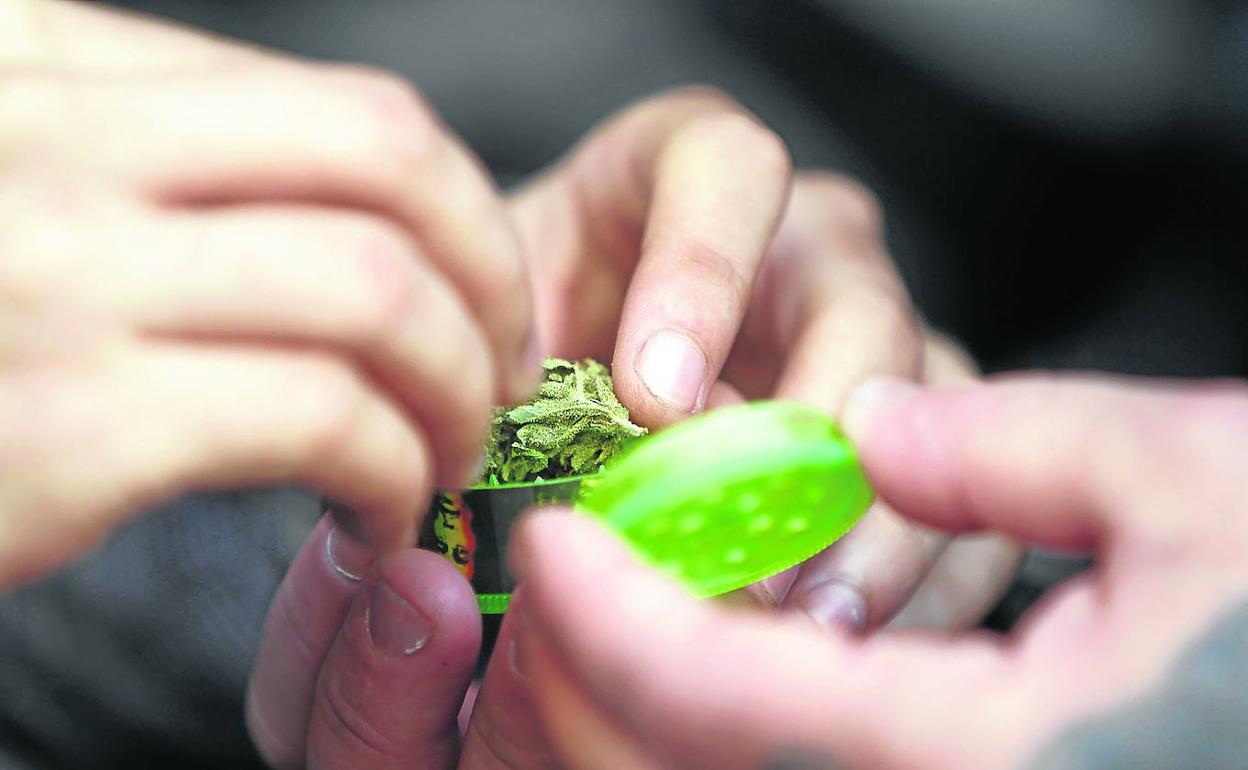 El consumo de la marihuana ha ganado una mayor normalización en los últimos años.