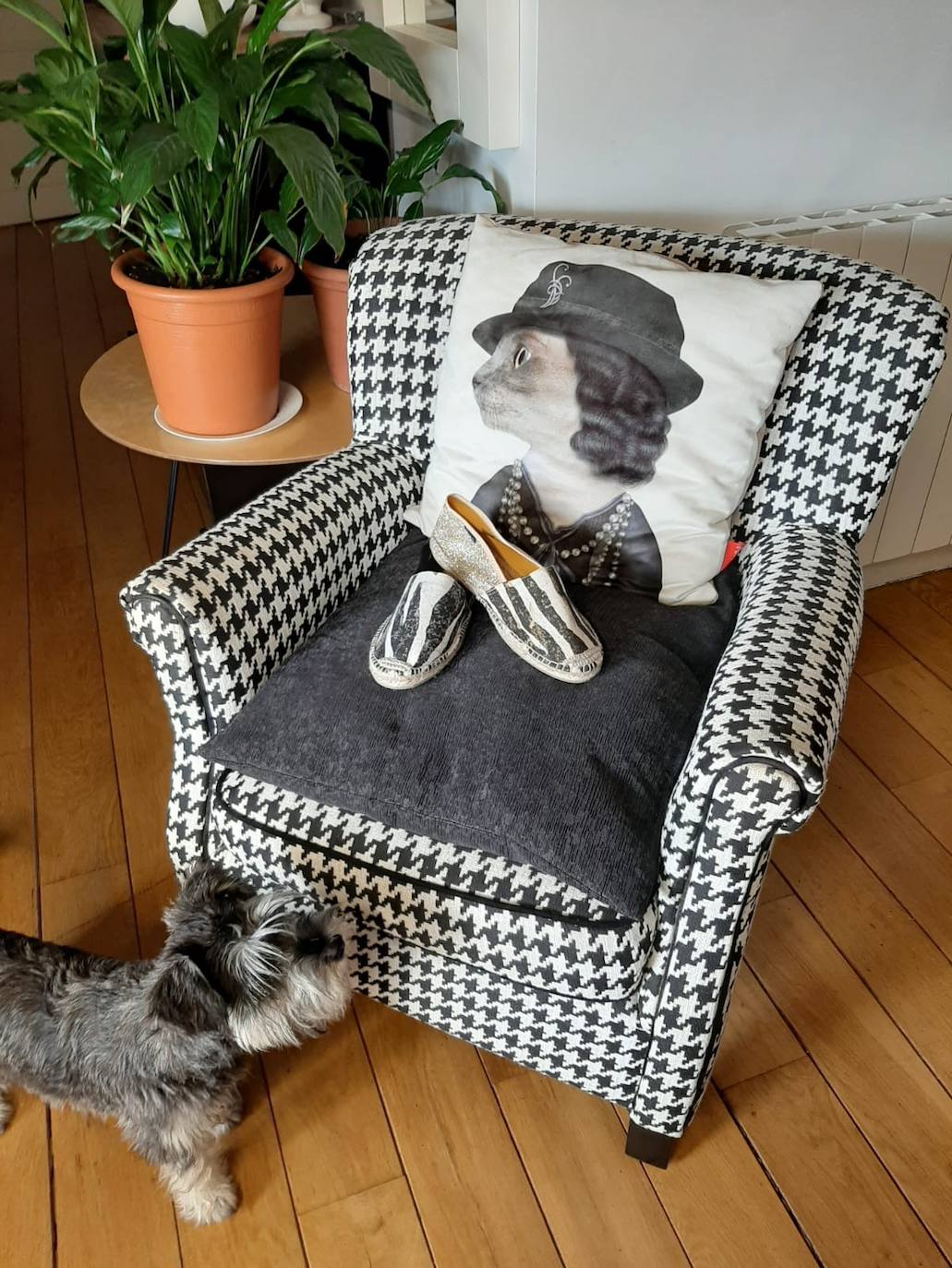 Fotos: La especial tienda de Milagros en el Casco Viejo con más de 1.000 alpargatas