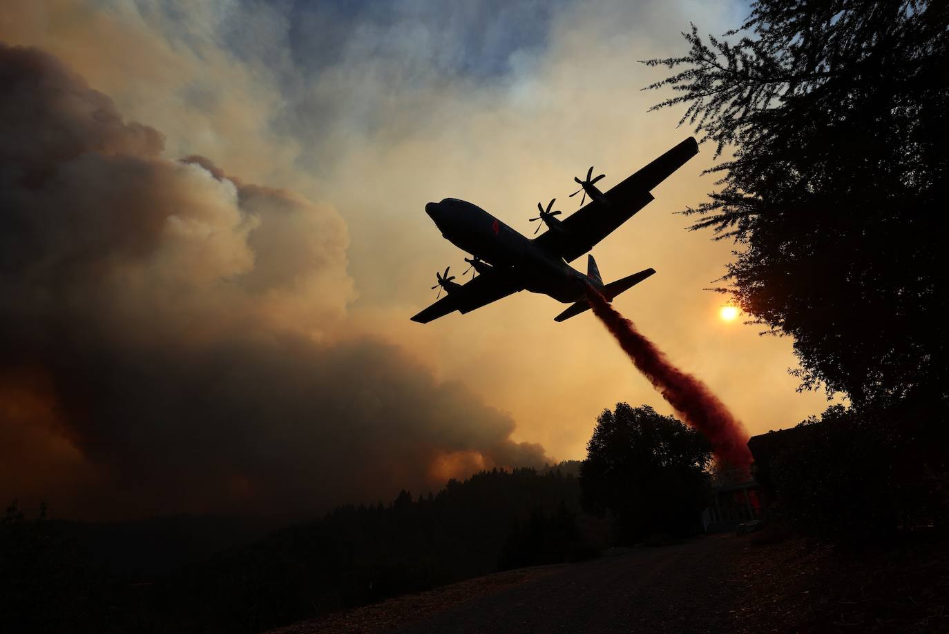 Fotos: El fuego arrasa más de 400.000 hectáreas en California