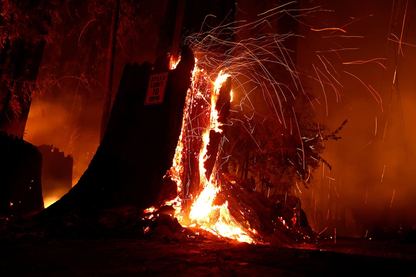 Fotos: El fuego arrasa más de 400.000 hectáreas en California