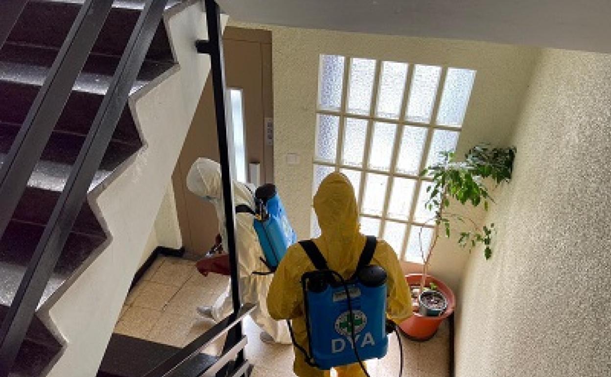 Dos integrantes de la Brigada de Desinfección de la entidad social