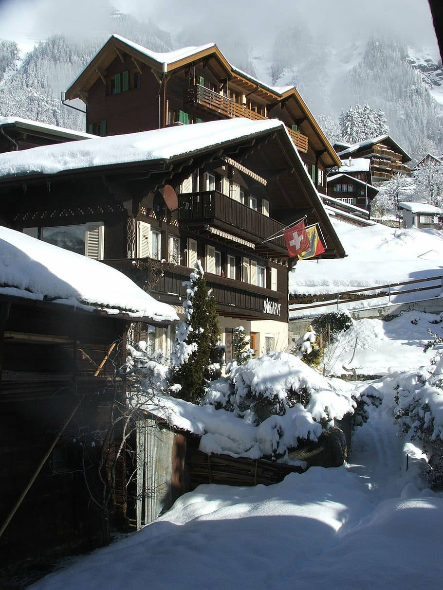 Wengen (Suiza): Wengen es un ejemplo increíblemente perfecto de un pueblo alpino donde los tradicionales chalés de madera se aferran a las laderas del valle de Lauterbrunnen. Parece sacado de un capítulo de Heidi, pero al natural no en dibujo. Es muy turístico en verano y en invierno atrae a tantos esquiadores que su población aumenta casi diez veces.