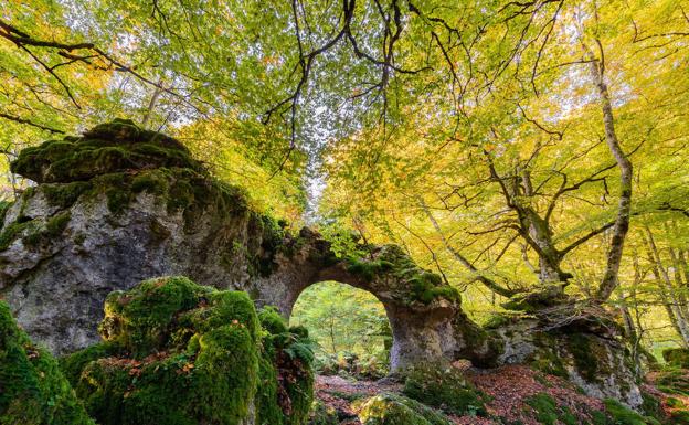 Arco natural en el hayedo de Urbasa.