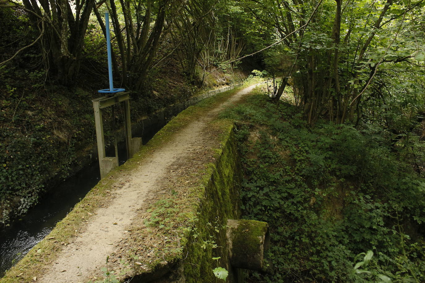 Ruta del agua de Berganzo (Álava)