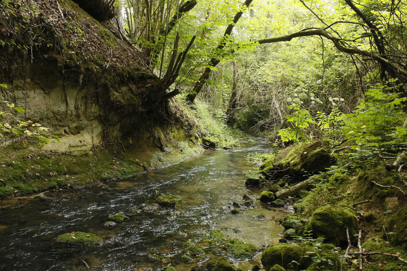 Ruta del agua de Berganzo (Álava)