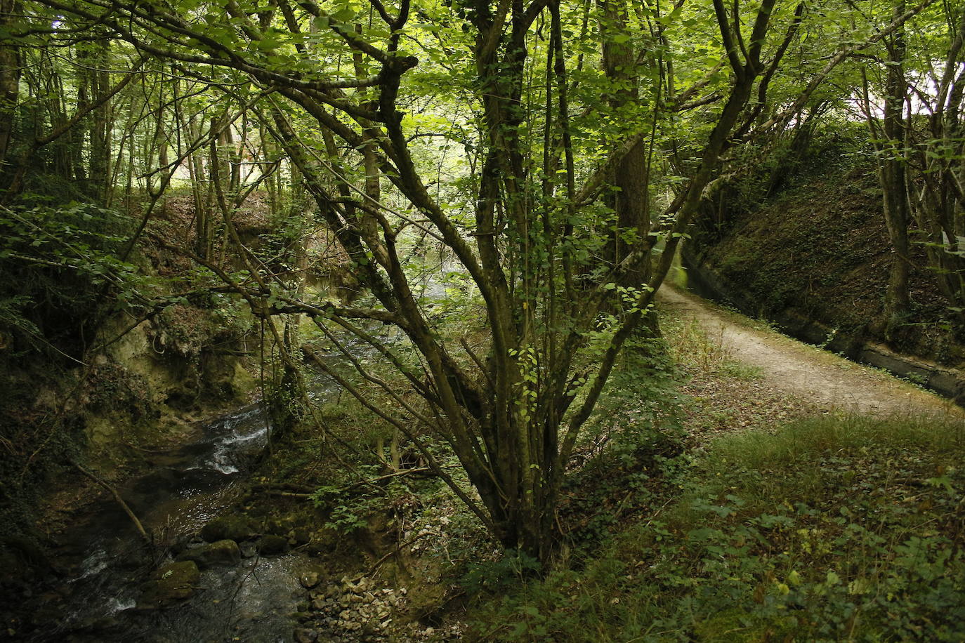Ruta del agua de Berganzo (Álava)