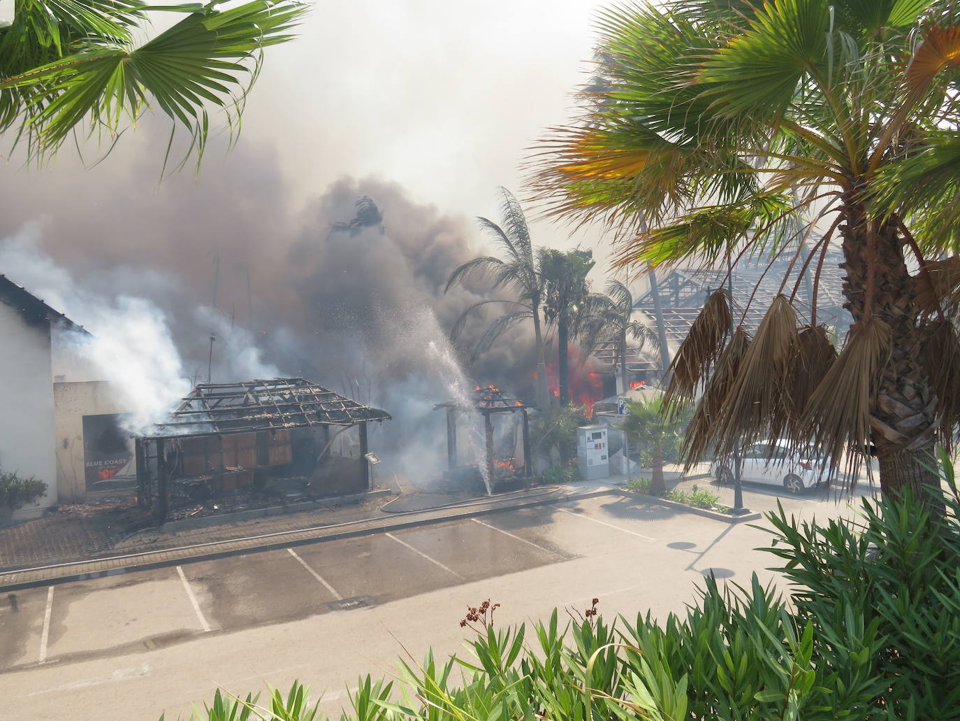 Fotos: Incendio forestal en Estepona