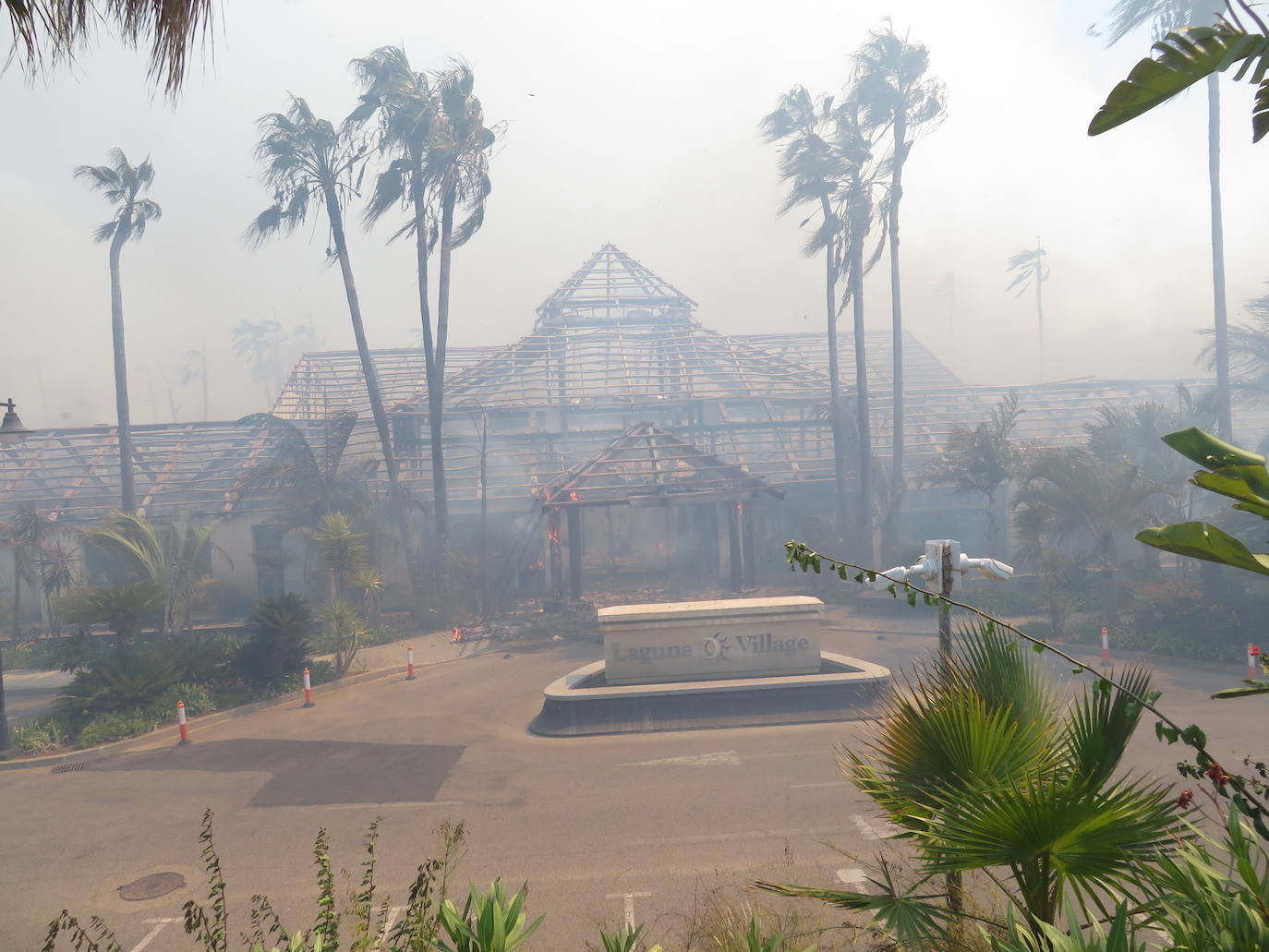 Fotos: Incendio forestal en Estepona