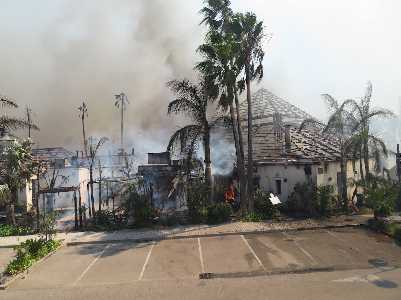 Fotos: Incendio forestal en Estepona