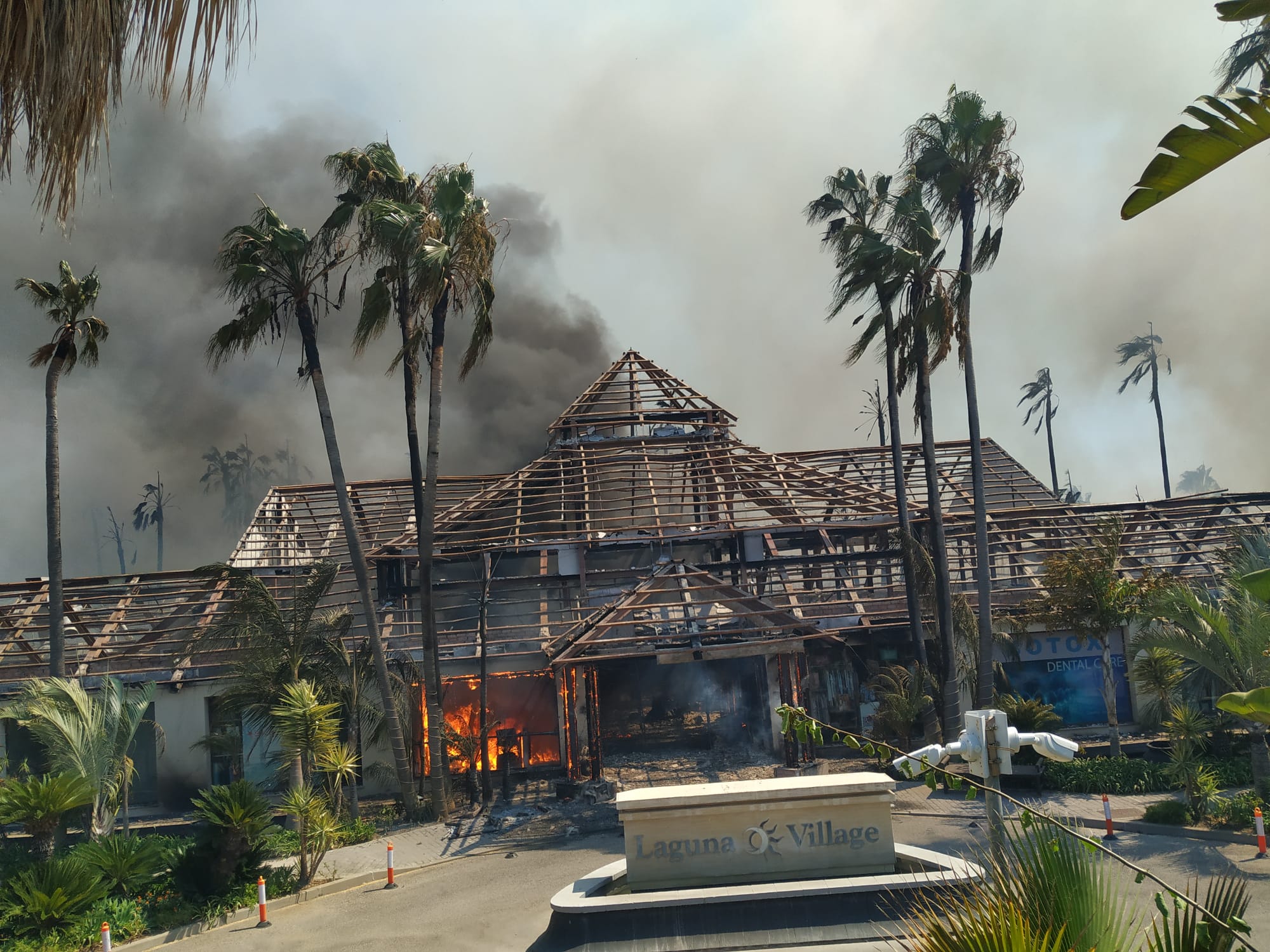 Fotos: Incendio forestal en Estepona