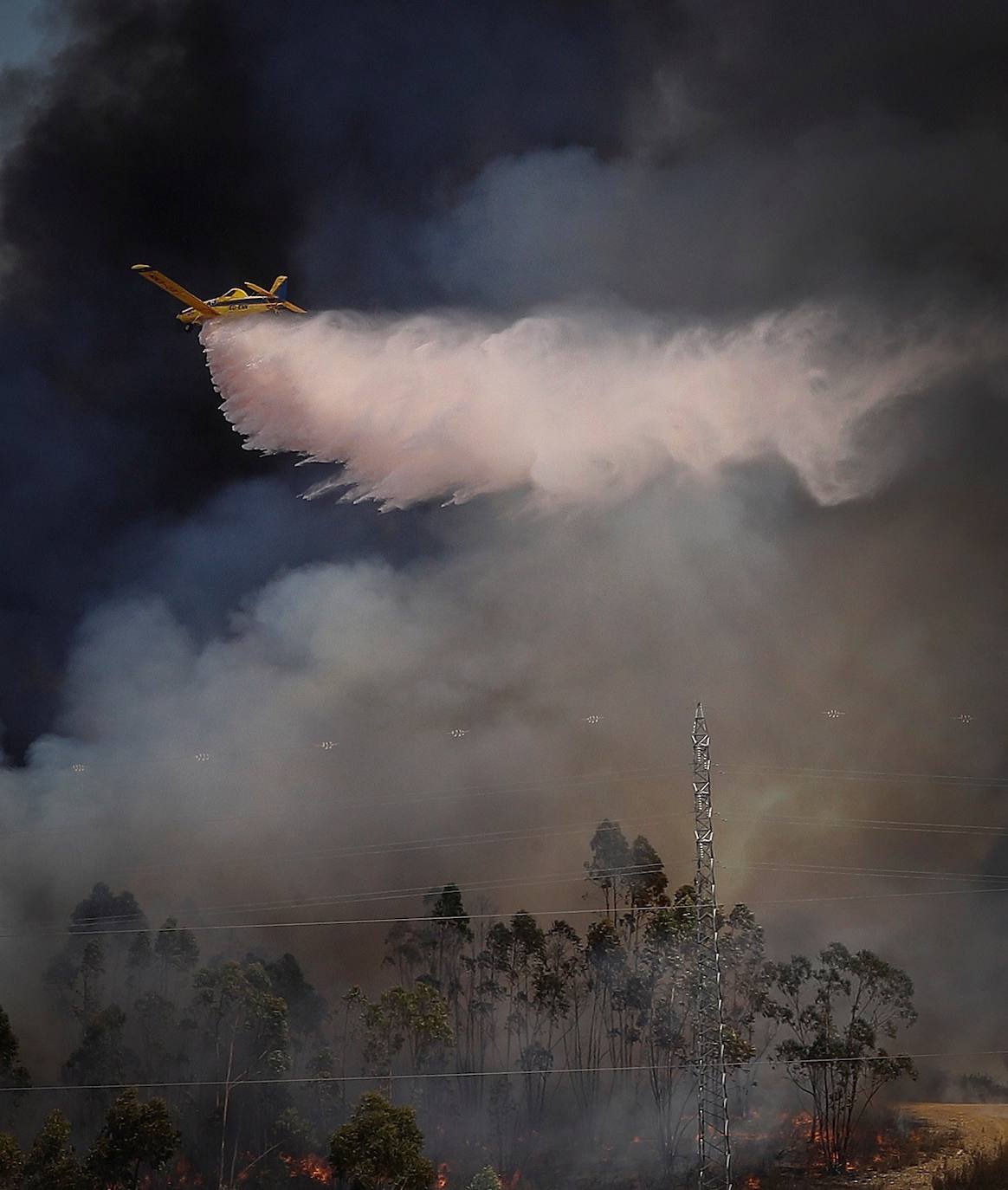 Fotos: Las llamas en Huelva calcinan más diez mil hectáreas