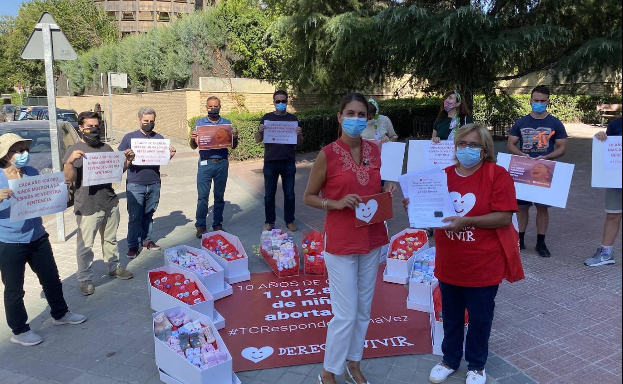 Rosana Ribera, portavoz de Derecho a Vivir, en primer término. 