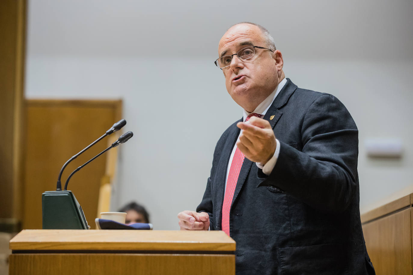 Joseba Egibar, durante el pleno de investidura de este jueves