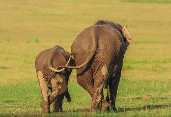 Fotos: Las fotos más simpáticas de animales, a concurso