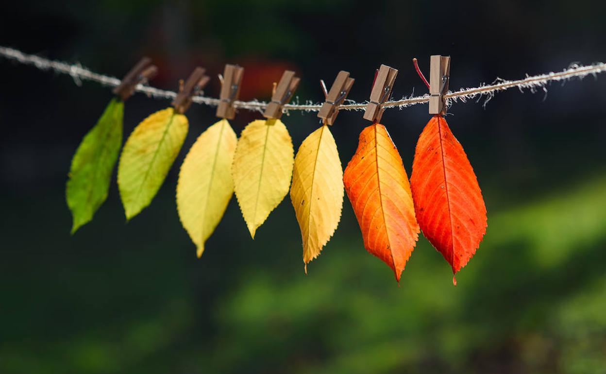 Trantsizioa irudikatzen duen argazkia.