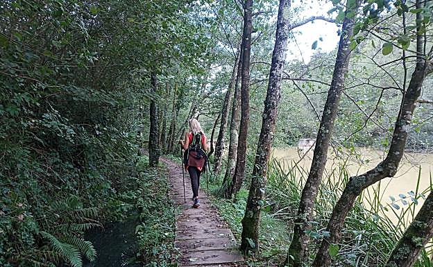 Camino a orillas del arroyo Ea, jalonado de un bonito bosque de ribera.