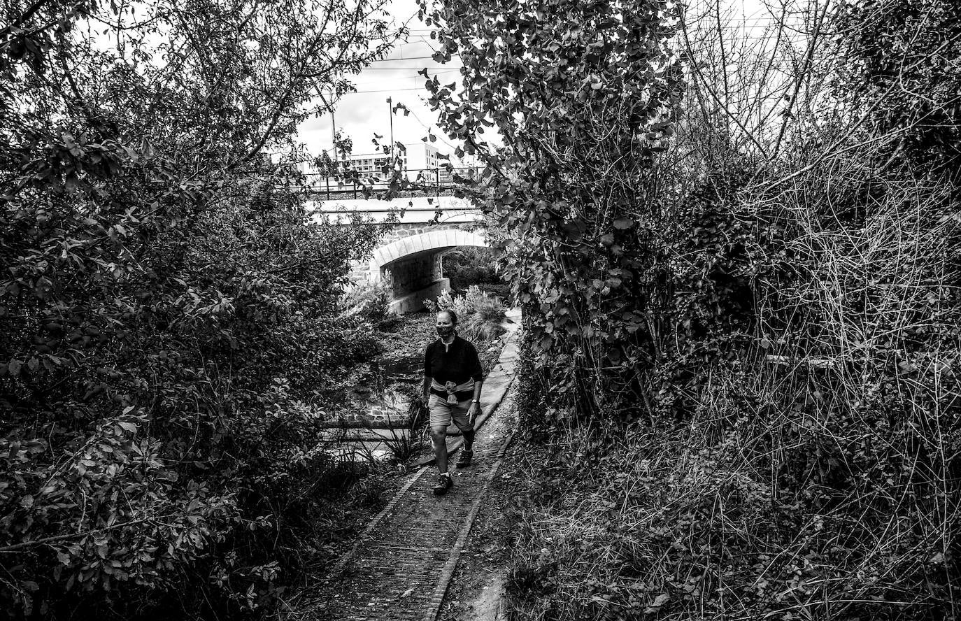 Sendero bajo las vías del tren.