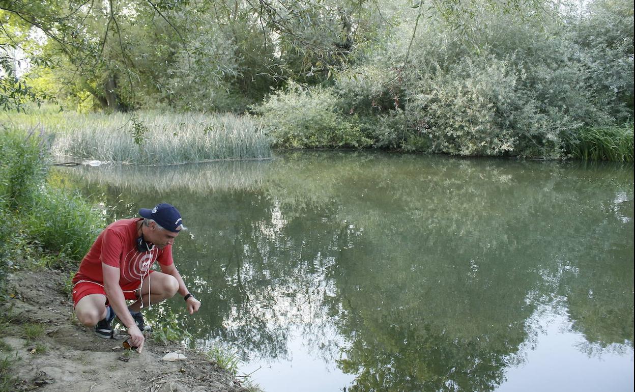 El Zadorra está contaminado en varias zonas, también a su paso por Abetxuko. 