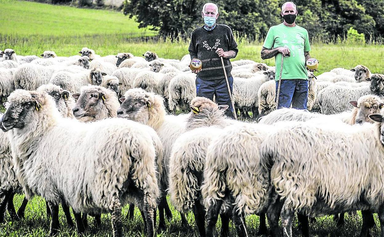 Pascual López de Uralde y su hijo Patxi, con parte de su rebaño de 500 ovejas latxas cara negra a los pies del monte Aldaia, en Larrea. 