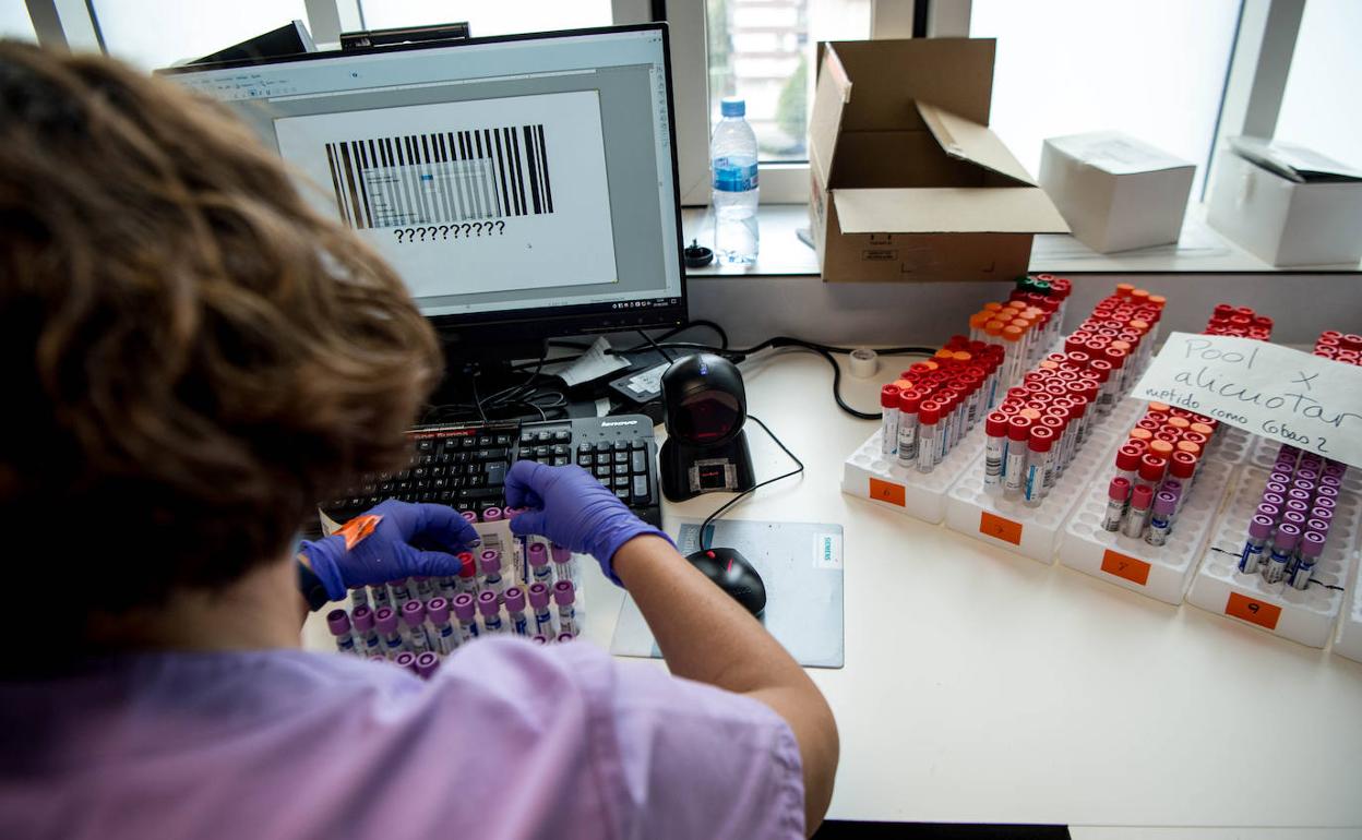 34 muertos en una semana en Euskadi