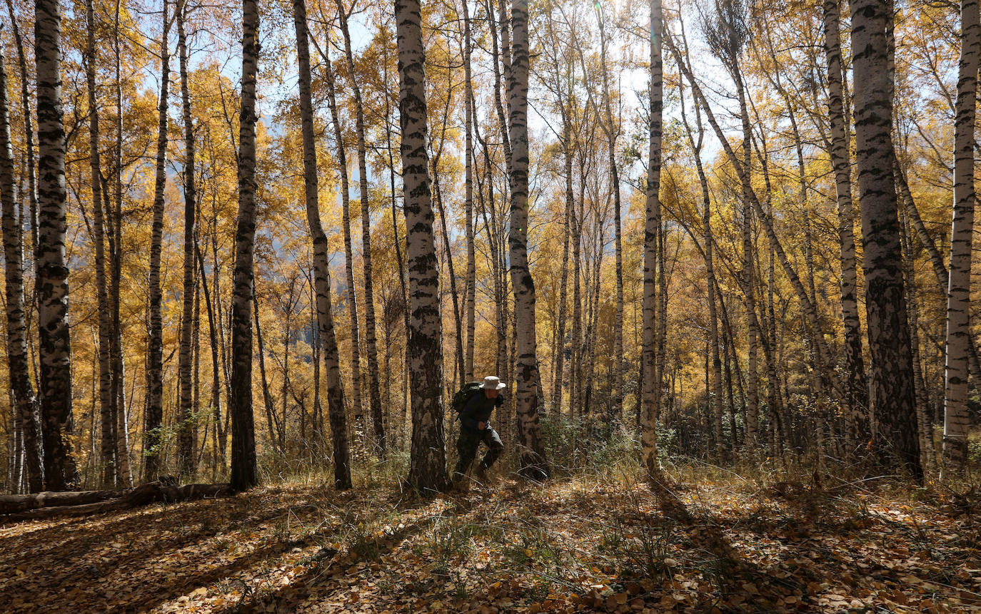 Por el bosque Almaty, en Kazajistán.