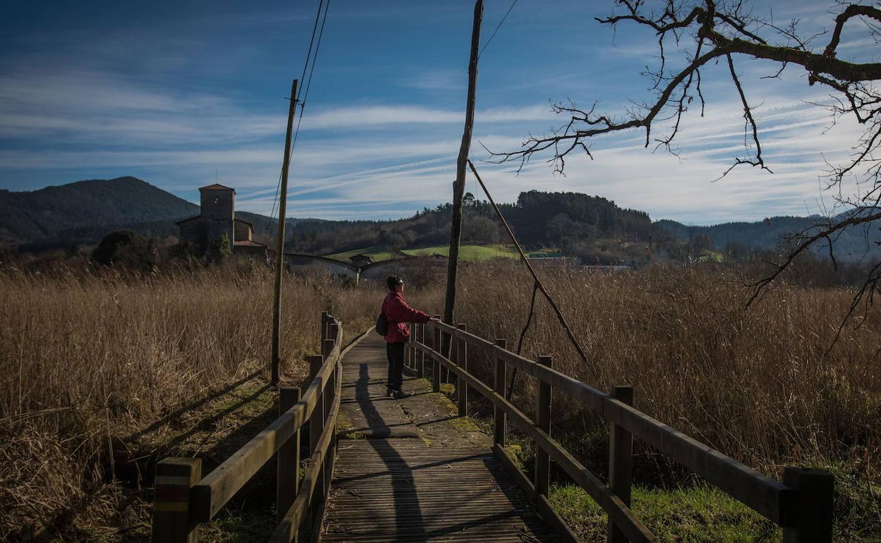 Una vecina de la comarca contempla el paisaje en uno de los senderos de Urdaibai.