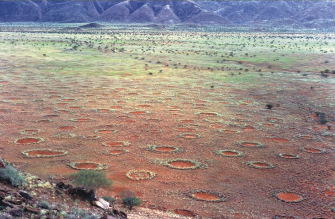 Círculos de hadas (Namibia y Australia) | Estos parches en el suelo se atribuyeron durante años a la presencia de hadas, pero su realidad es que se trata de un mecanismo natural de organización de las planas ante la escasez de agua.