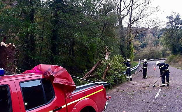 ¨Los Bomberos forales tuvieron que realizar numerosas intervenciones.