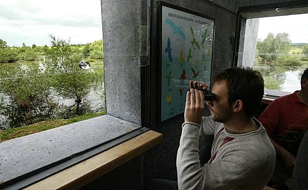 Un joven utiliza sus prismáticos en un observatorio del embalse de Ullíbarri-Gamboa.
