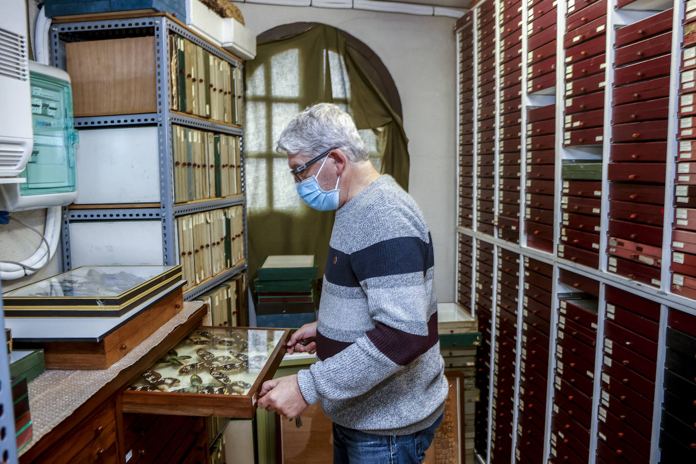 La sala de entomología cuenta con 3.200 cajas y 500 frascos que guardan 292.426 ejemplares.