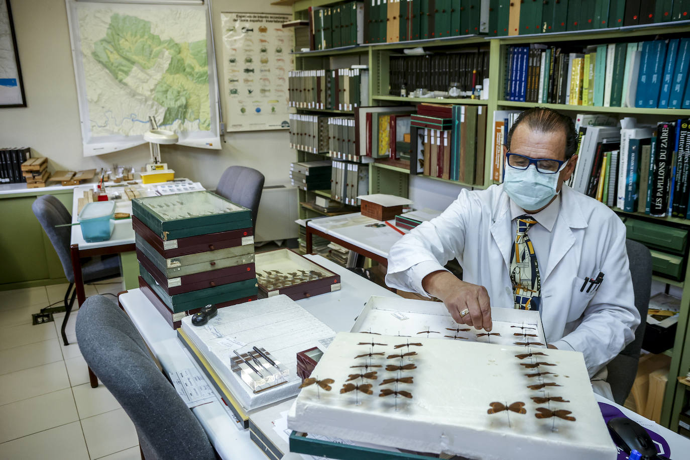 Ibon de Olano preparando lepidópteros en el laboratorio de entomología.