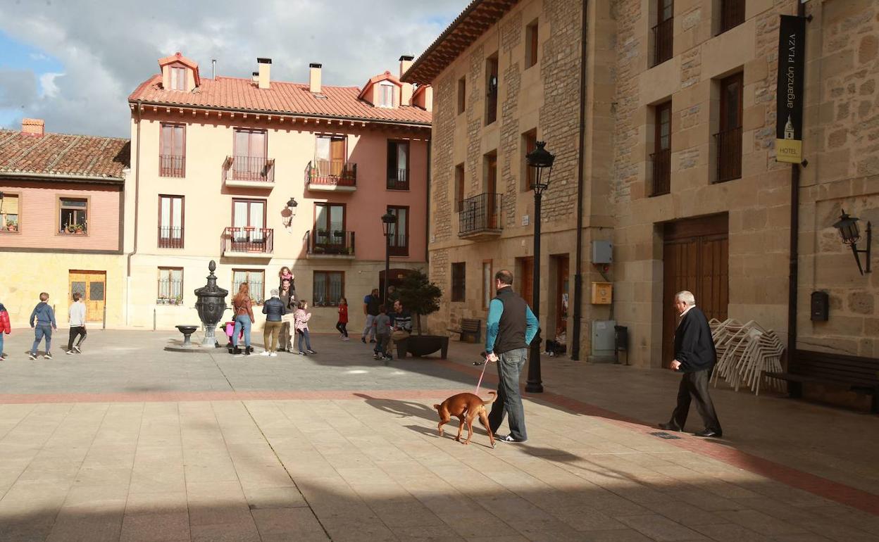 Vista de La Puebla de Arganzon. 