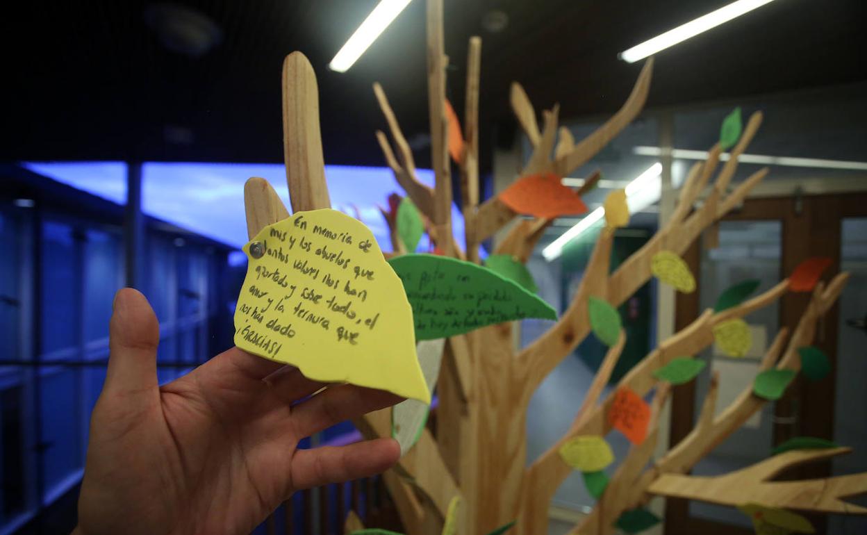 Vista del árbol de los recuedos de Sopela, con un texto de homenaje a unos abuelos. 