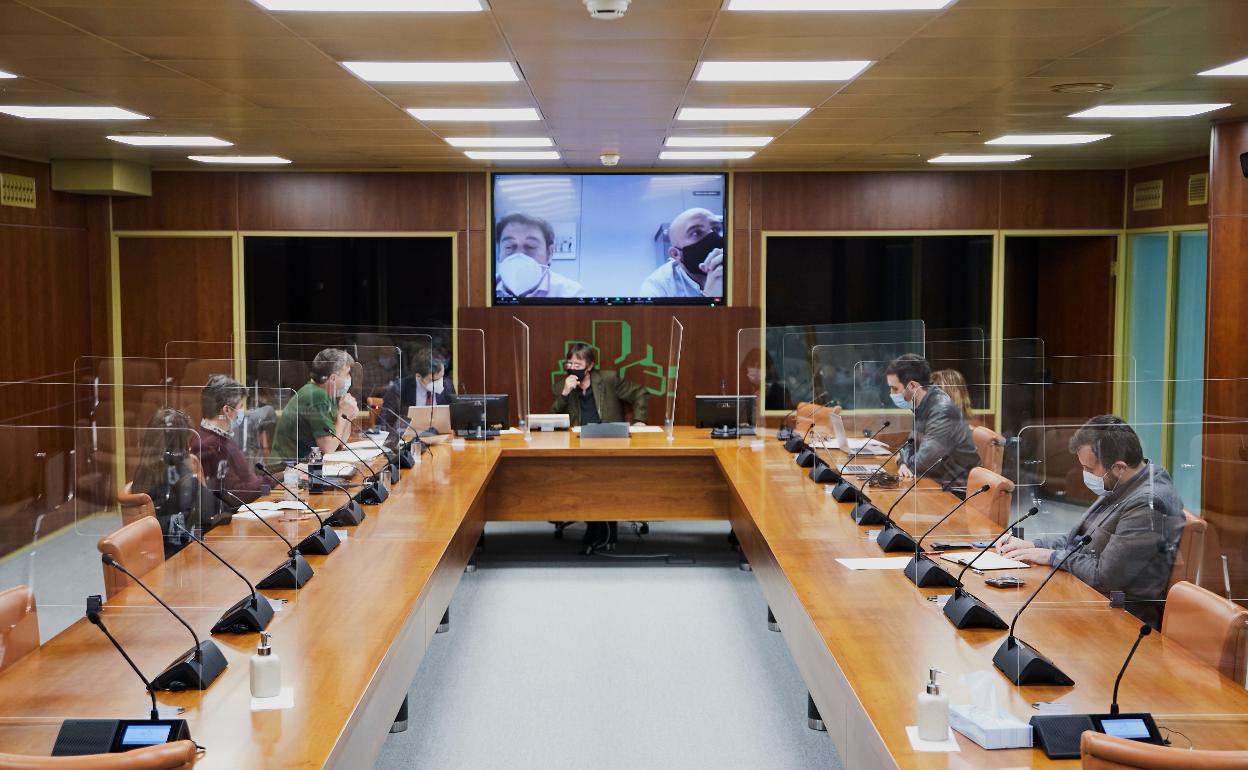 Representantes de Tecnalia han comparecido esta mañana en la Comisión de Sostenibilidad, Medio Ambiente y Medio Natural del Parlamento Vasco. 