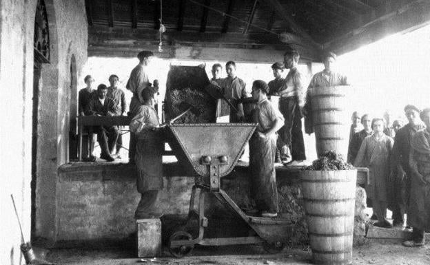 Descarga de la uva en Marqués de Riscal.