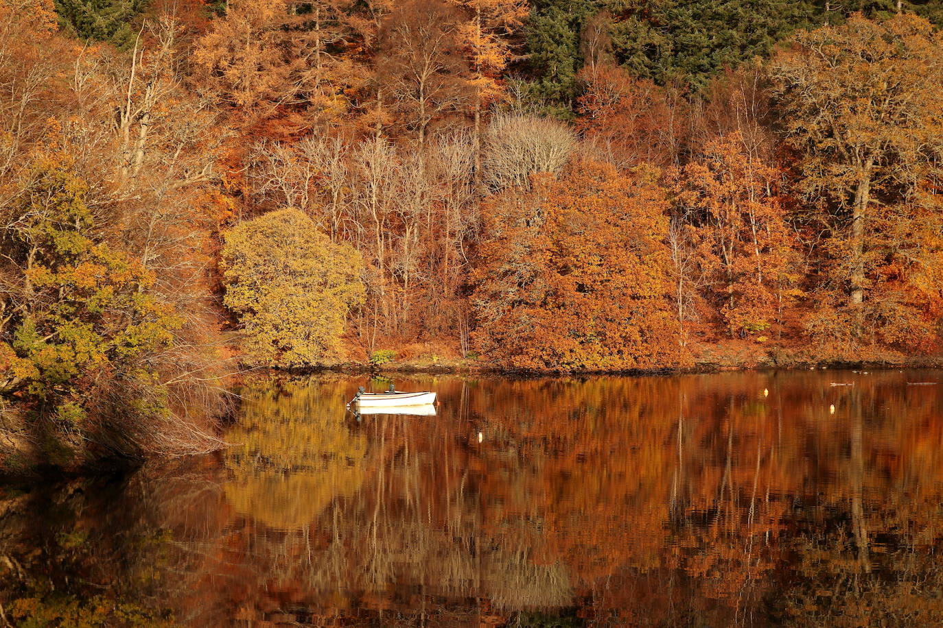 Pitlochry, Escocia, Gran Bretaña.