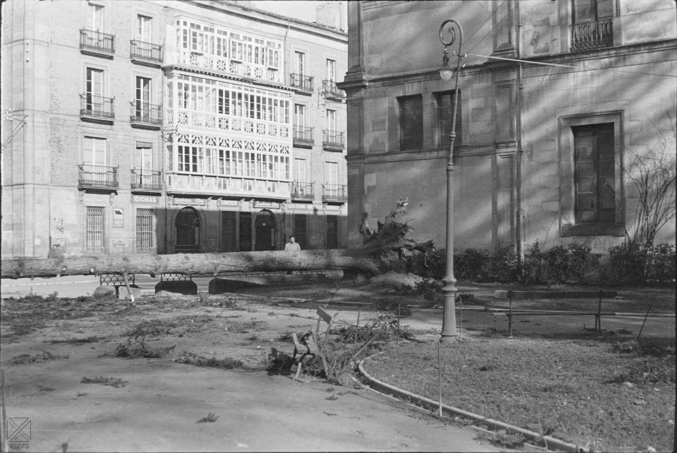 Efectos de un vendaval en el parque de La Florida. 15 de febrero de 1941