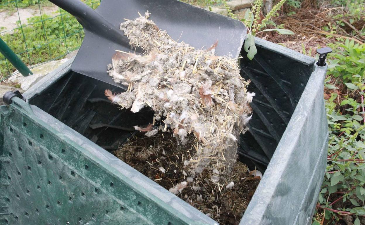 Más de doscientas familias participan en el compostaje comunitario de Gorbeialdea. 