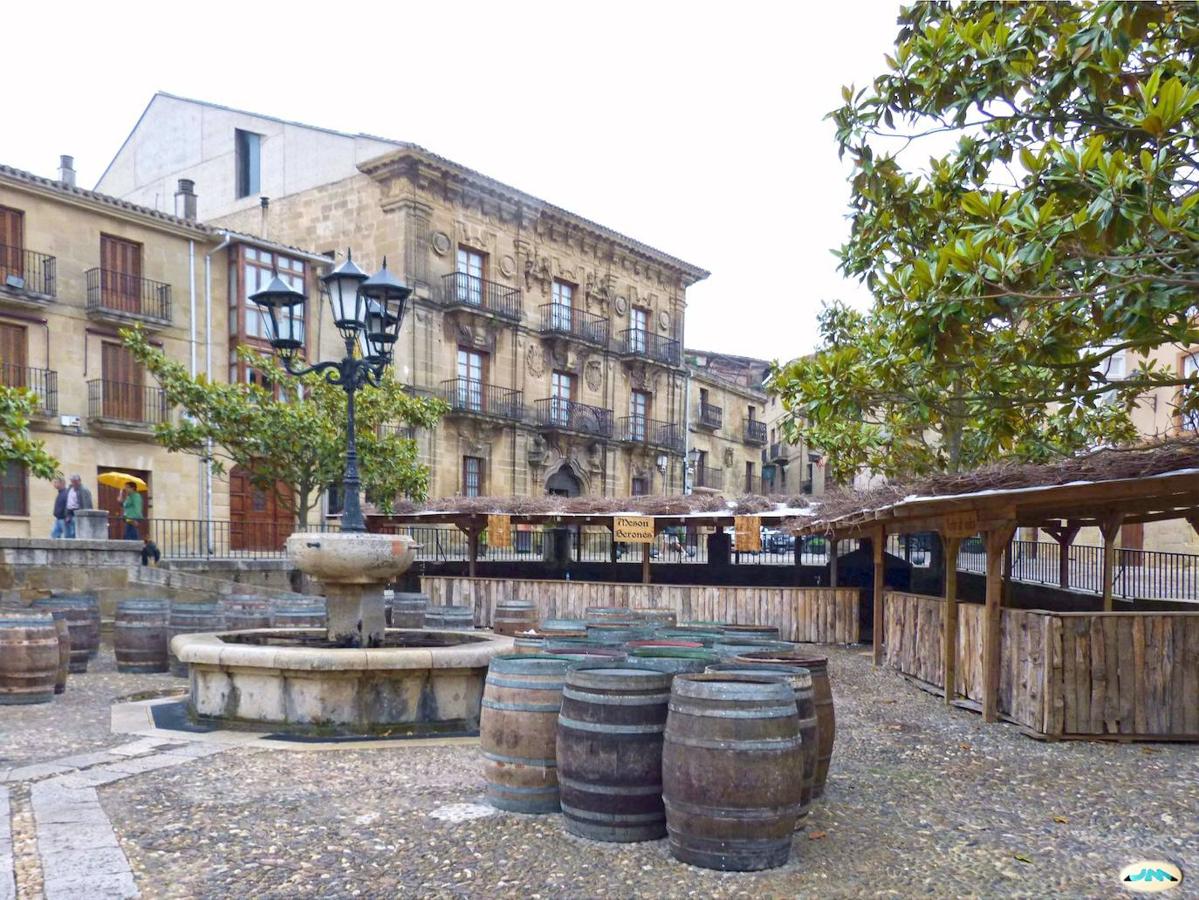 De entre sus casonas y palacios, algunos con recuerdos góticos en forma de ventanas apuntadas o en hornacinas con santos, destacan la casona de la Plaza o el palacio de los Quincoces, edificios civiles muy singulares característicos del renacimiento en el Norte.