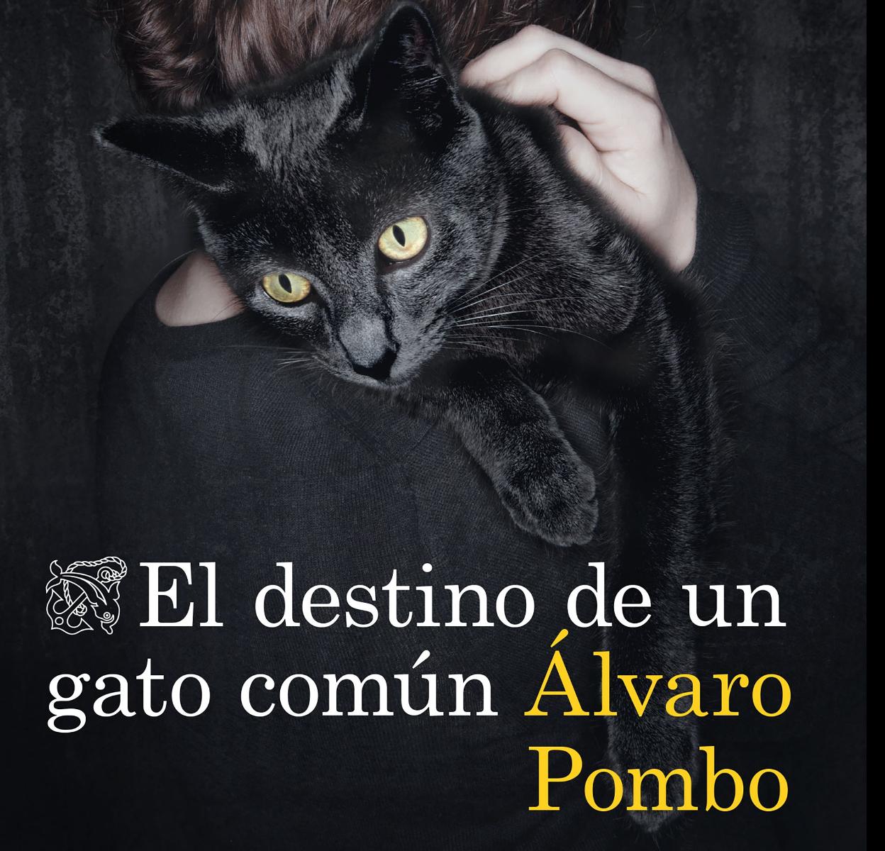 'El destino de un gato común', de Álvaro Pombo